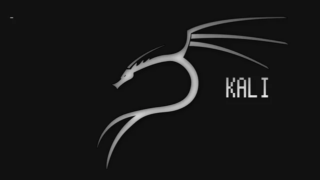 Techniques de Pentest avec Kali Linux